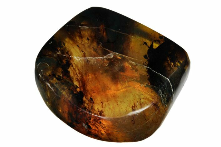 Polished Chiapas Amber ( g) - Mexico #180511